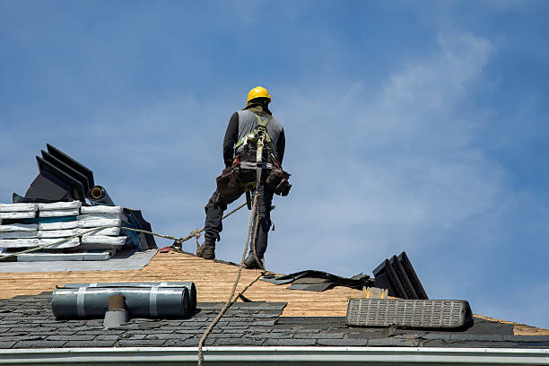 Professional Roof Repair technician working in Stockton, IL